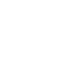 bt logo